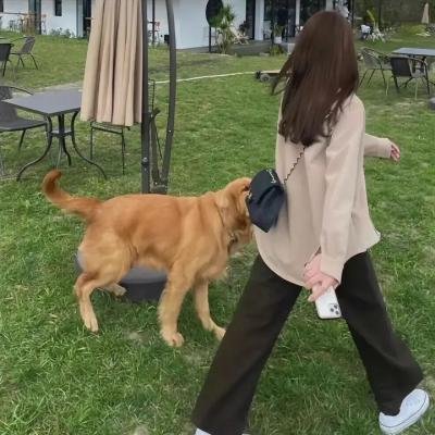 恋爱屁话