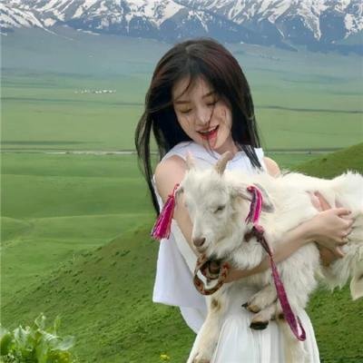 石纪元第三季